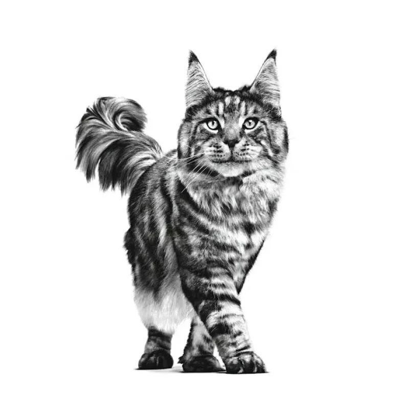 ROYAL CANIN Cat Gastrointestinal VHN – sausas ėdalas katėms – 400 g