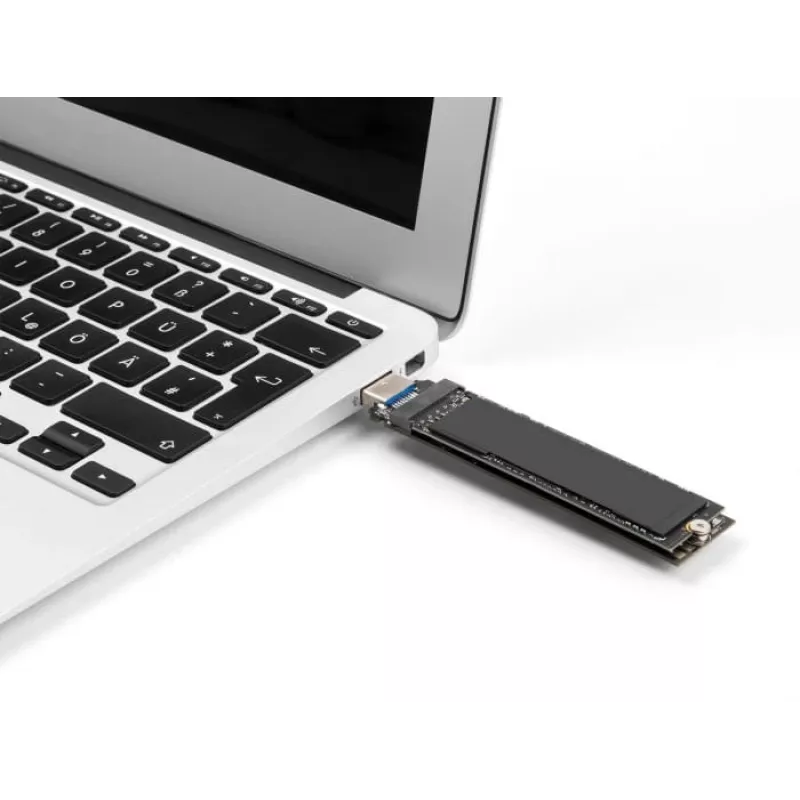 DeLOCK kombinuotas keitiklis M.2 NVMe PCIe arba SATA SSD į USB 3.2 Gen 2, juodas