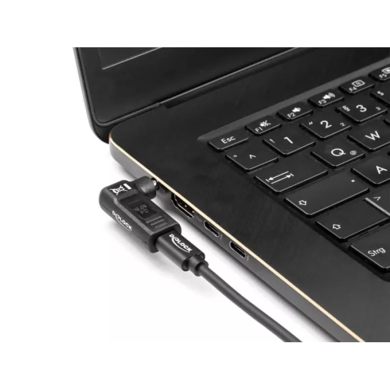 DeLOCK adapteris USB Type-C moteriškas į HP 4,8 x 1,7 mm vyriškas 90° kampu