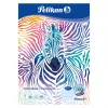 Kartonas Pelikan 236799 20 lapų 120 g/m² A3