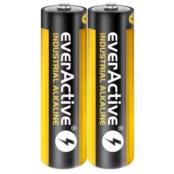 Vienkartinė šarminė baterija everActive EVLR6S2IK AA 1,5 V – pakuotė po 40 vnt.