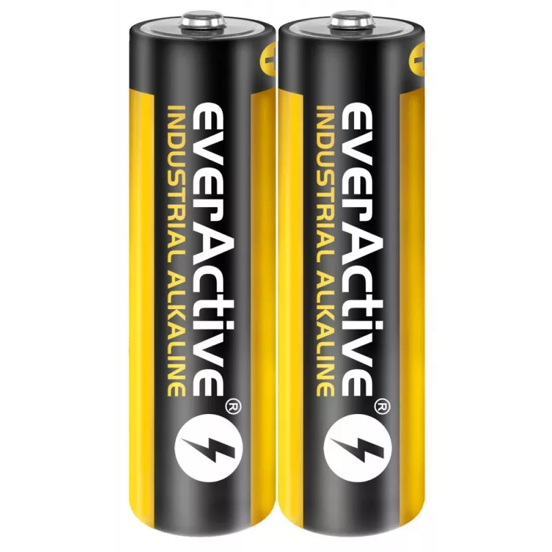 Vienkartinė šarminė baterija everActive EVLR6S2IK AA 1,5 V – pakuotė po 40 vnt.