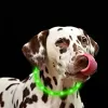 LED antkaklis Anicoll Green šunims ir katėms modelis įkraunamas apšvietimas
