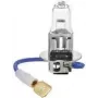 Halogeninė lemputė IWH H3 55W 12V IWH 019353 – vieno spindulio automobilinė lemputė