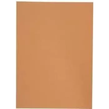 Elba 100091654 segtuvas-archyvatorius kartoninis Oranžinis A4