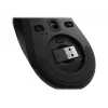Lenovo Legion M600 belaidė žaidimų pelė, ambidekstrinė, RF Wireless + Bluetooth + USB Type-A, optinė, 16000 DPI