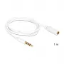 Garso ilginimo laidas DeLOCK 3,5 mm 1 m