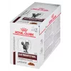 Šlapias kačių ėdalas Royal Canin Gastrointestinal Moderate Calorie 12 x 85 g paketėliai, suaugusioms katėms, mėsos skonio, 82,2% drėgmės