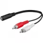 Wentronic Goobay 3,5 mm lizdo / RCA adapterinis laidas, juodas, 0,2 m - 3,5 mm lizdas (3 kontaktai, stereo) > 2x RCA kištukas (audio kairė/dešinė) (50092)