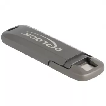 USB atmintukas DeLOCK 54012 256 GB USB Type-C pilka