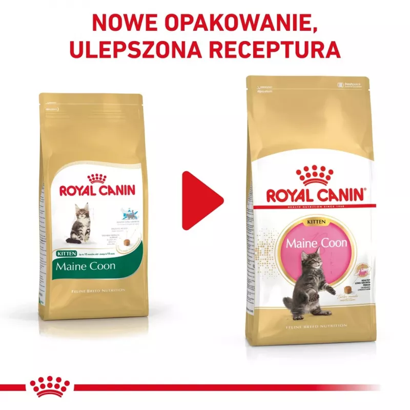 Sausas kačių ėdalas Royal Canin Maine Coon Kitten 2 kg – paukštiena, baltymai 36%, riebalai 23%
