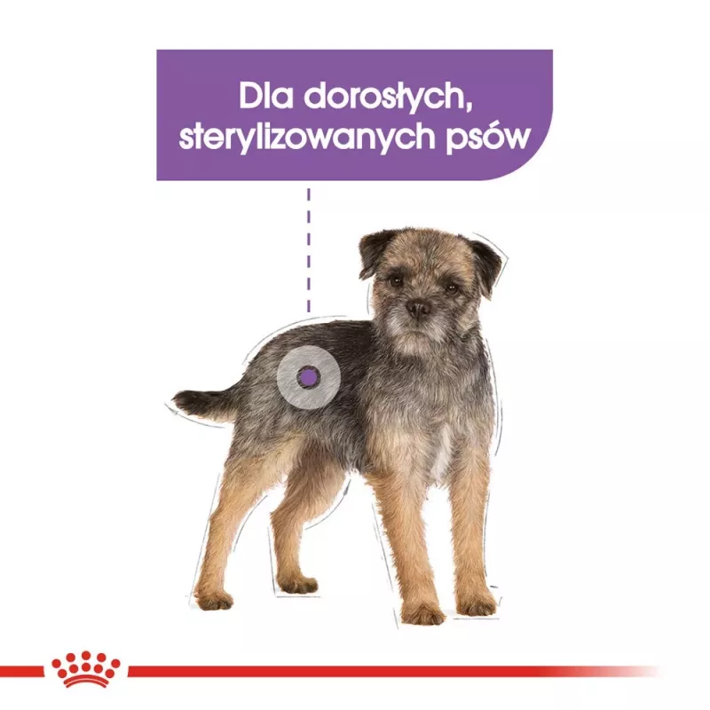 Sausas šunų ėdalas Royal Canin Mini Sterilised Care — 3 kg, vištiena, sterilizuotoms mažoms veislėms (5–10 kg), suaugusiems, 30% baltymų