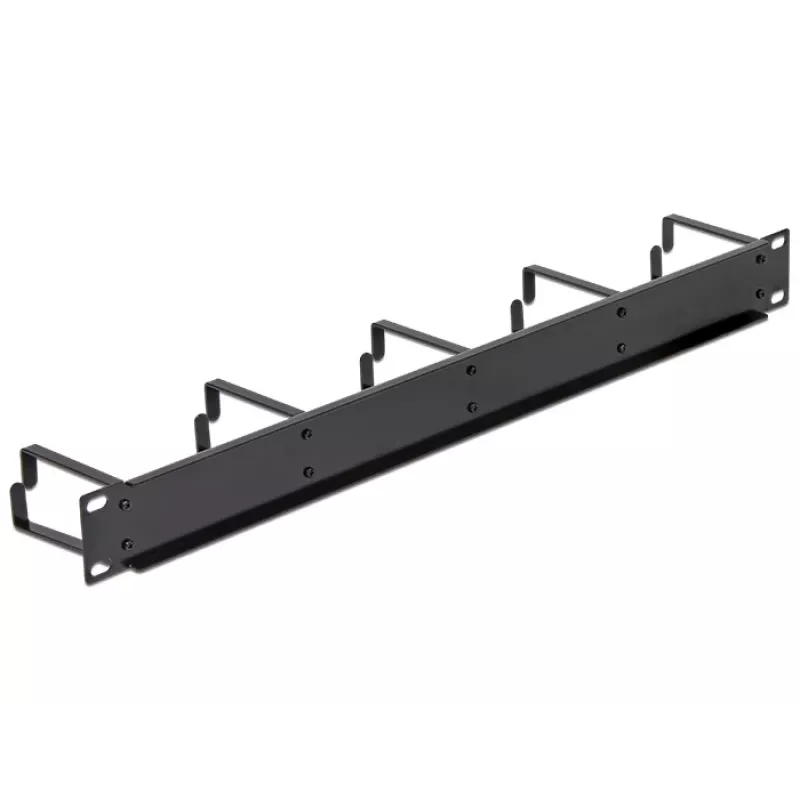 DeLOCK 42496 1U kabelių valdymo skydelis 19 inch