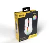 Pelytė Tracer 47417 Gamezone Cool White RGB USB