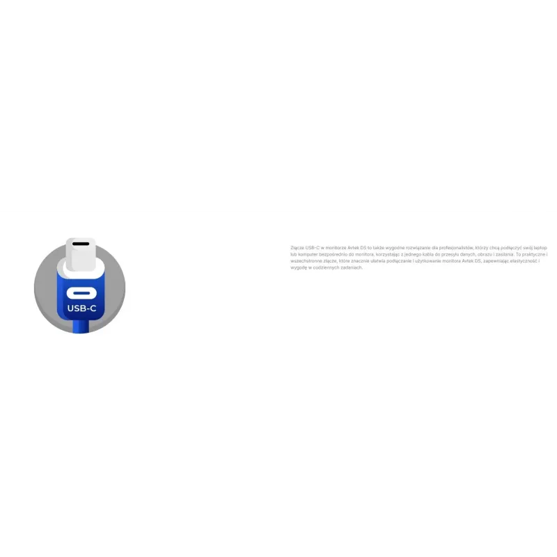 Avtek informacinis monitorius DS2 86