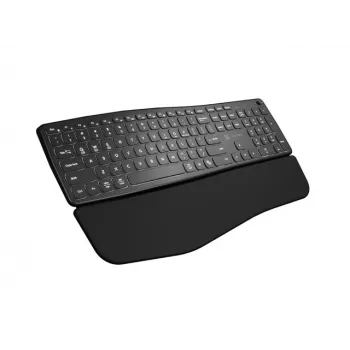 NATEC PORIFERA klaviatūra biurui ir namams belaidė Bluetooth QWERTY US International juoda