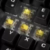 Sharkoon 100068100 Klaviatūra Office USB QWERTZ Vokiška Medienos Spalva 61 Klavišas RGB LED