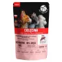 PetRepublic ADULT 100 g — filė su veršienos griežinėliais