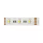 Synergy 21 LED Flex Strip 5050 - 60 RGB DC24V + RGB-W vieno lusto šiltai balta IP68