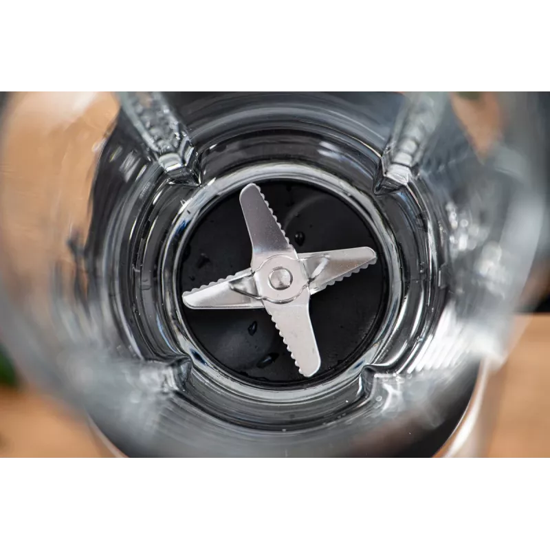 Blenderis Zelmer ZSB4870 Silver 1200W