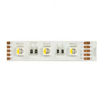 Synergy 21 LED Flex Strip 5050 - 60 RGB DC24V + RGB-W vienas lustas SWW IP20