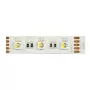 Synergy 21 LED Flex Strip 5050 - 60 RGB DC24V + RGB-W vienas lustas SWW IP20