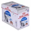 Šlapias kačių ėdalas Royal Canin Indoor Sterilized 85 g pakuotė – suaugusioms sterilizuotoms katėms, paukštienos skonis, dėžutė 12 x 85 g