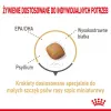 Sausas šunų ėdalas Royal Canin Pomeranian Adult 3 kg – smulkių veislių šunų receptūra suaugusiems pomerniams