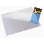 Leitz Plus staltiesė, skaidri, PVC, 650x500 mm, 1 vnt.