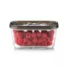 Caso VacuBoxx Eco M stiklinis vakuuminis indas su plastikiniu dangteliu, 0,8 l, skaidrus