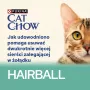 CAT CHOW Hairball Control vištienos ir pupelių padaže 85 g