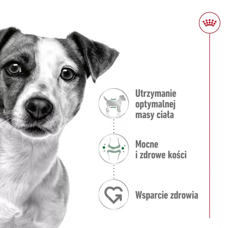 ROYAL CANIN Adult Mini S - sausas šunų ėdalas - 2kg