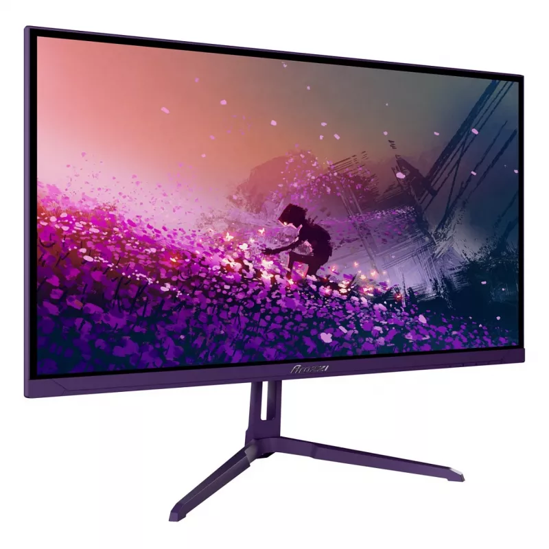 Monitorius Arozzi Nova 24 colių (60,5 cm) Full HD 1920×1080 LED 1 ms 16:9 178° VESA violetinis su garsiakalbiais