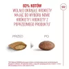Sausas kačių ėdalas Royal Canin FHN Ageing 11+ 2 kg – paukštiena, 30% baltymų, sąnarių ir inkstų palaikymas