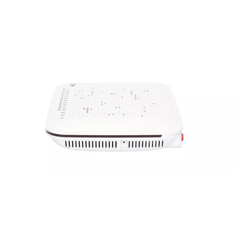ZTE F620 V2 GPON maršrutizatorius 2.4 GHz 802.11n