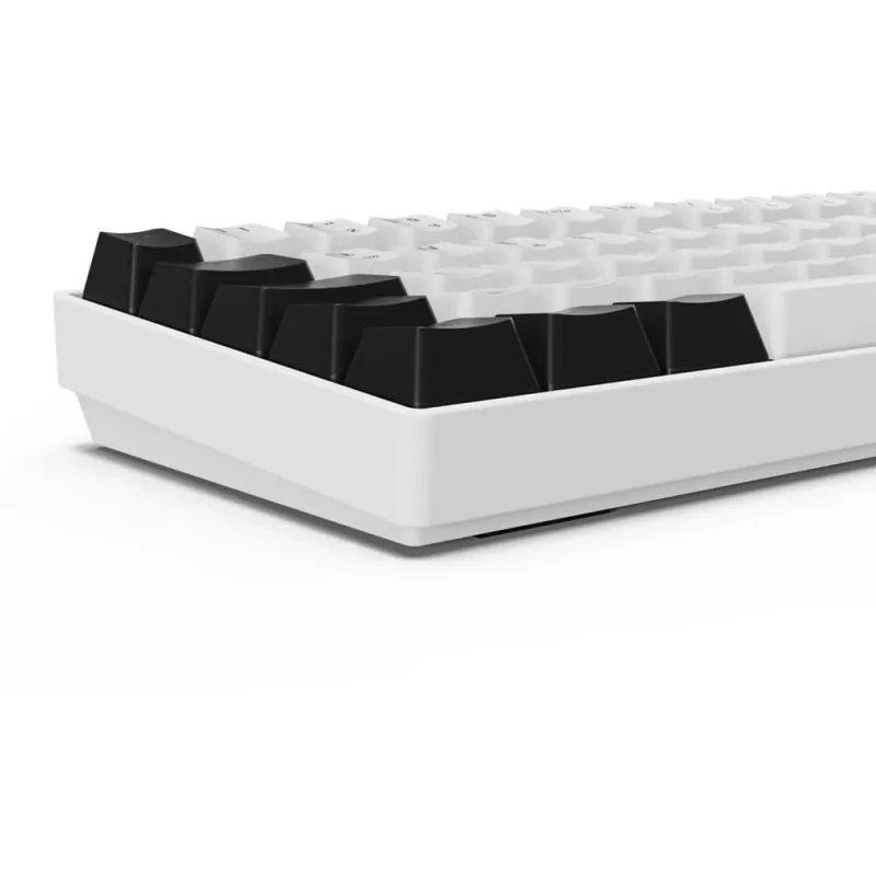Sharkoon SGK50 S4 klaviatūra USB QWERTZ vokiška balta RGB LED 60%