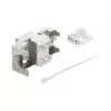 Delock 90990 Keystone modulis RJ45 į LSA Cat.6A, montuojamas be įrankių, ekranuotas metalinis, sidabrinis/baltas