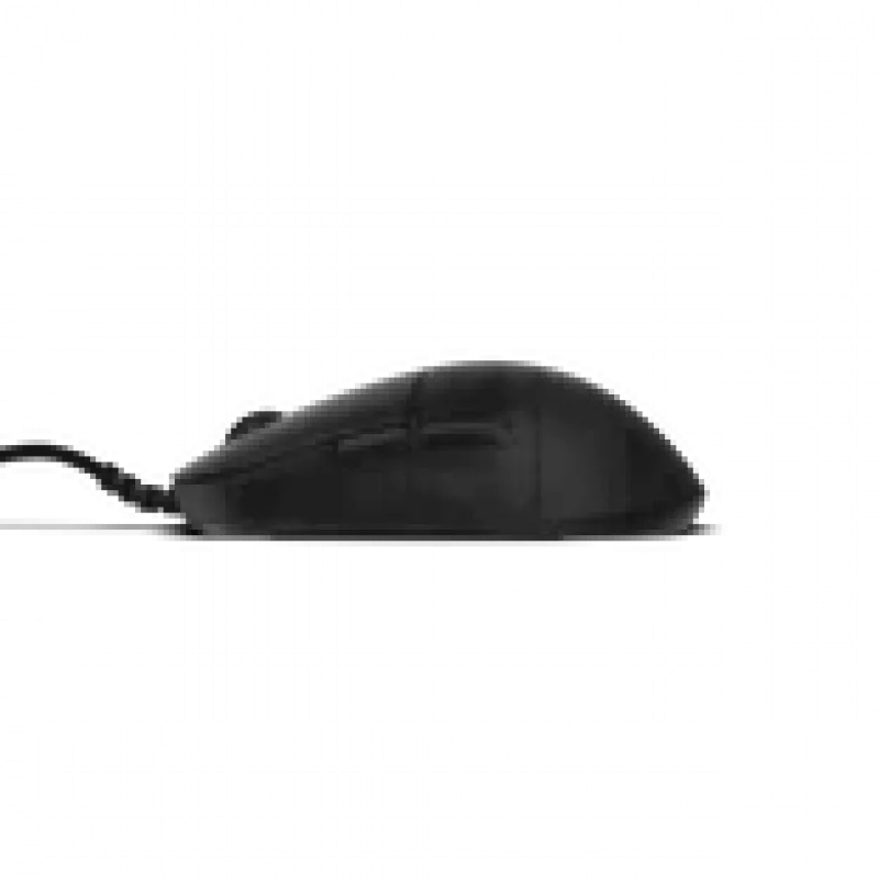 Žaidimų pelė Endgame Gear XM2 8k v2