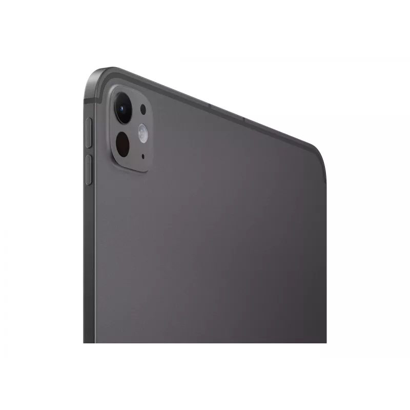 Apple iPad Pro 11 colių Wi‑Fi + Cellular 256GB su standartiniu stiklu – Kosminė juoda