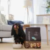 ADDVENA Boosted by superfoods Adult Small Beef - sausas šunų ėdalas - 2,5kg