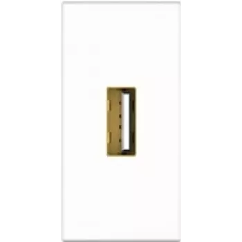 Kindermann Konnect flex 45 click modulinis snap-in lizdas USB 2.0 Type A baltas RAL 9010