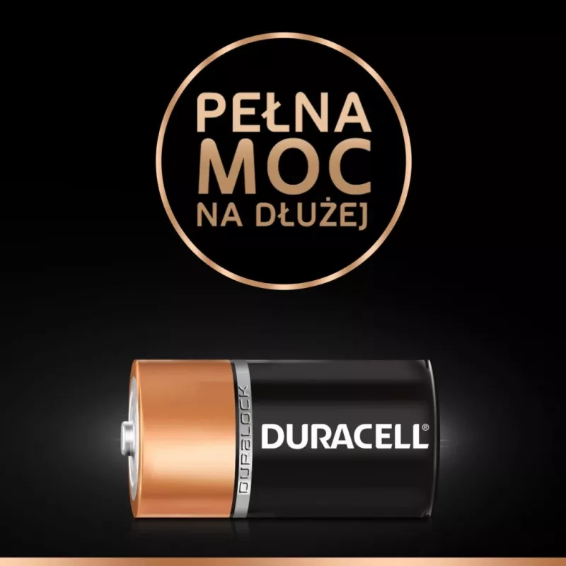 Duracell AA, AAA, D, C, 2032, 9V (LR14 LR20 6LR61 CR2032) baterijų rinkinys (C X 4vnt)