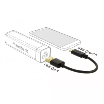 USB įkrovimo kabelis DeLOCK 80954 Type-A į USB Type-C 3 A 15 cm