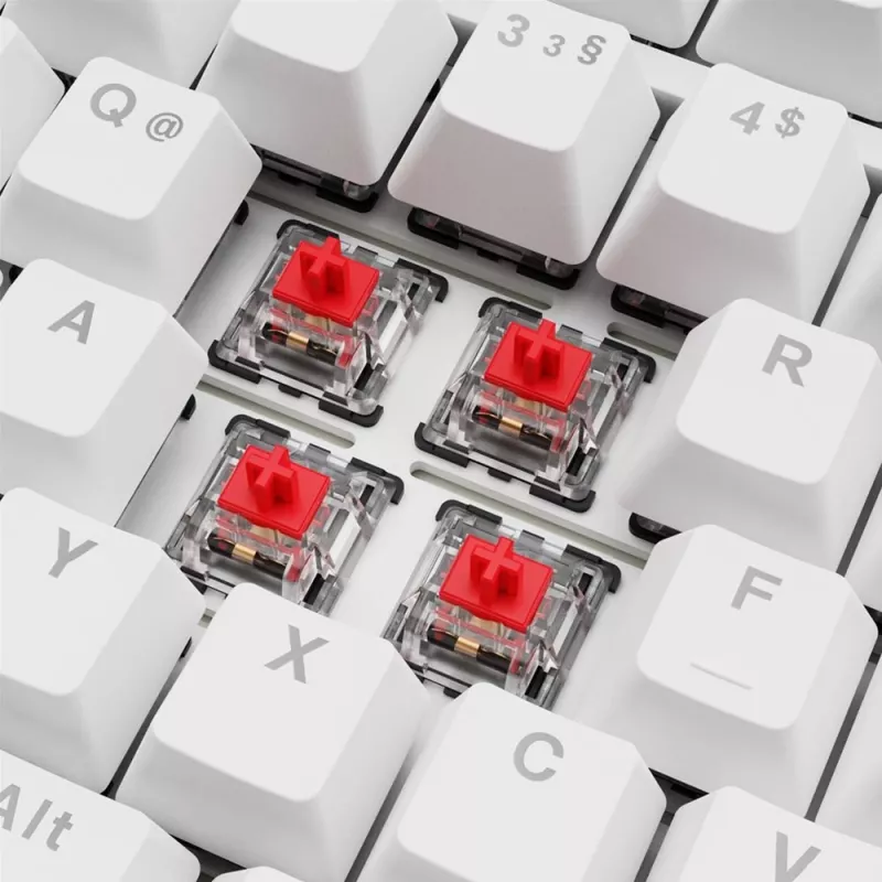 Klaviatūra Sharkoon SGK25 75% QWERTZ USB laidas RGB LED balta