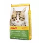 Sausas kačių ėdalas Josera Kitten Poultry 2 kg