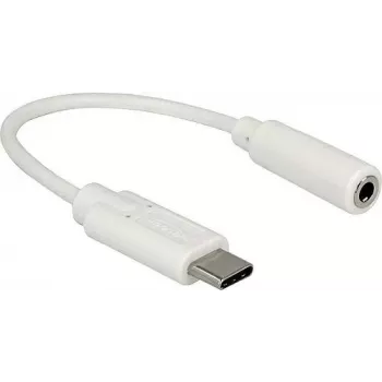 Audio adapteris DeLOCK 65913 0.14 m 3,5 mm USB-C baltas