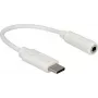Audio adapteris DeLOCK 65913 0.14 m 3,5 mm USB-C baltas