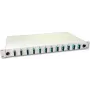 Lightwin LWL Splice Box, 24 Skaidulų, 12x DSC Daugiamodis, 50/125µm OM3 Pigtail Splice Box (SPBOX 24G50 OM3 DSC)