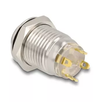 Mygtukų skydelis DeLOCK 20981 sidabrinis 230V 3A