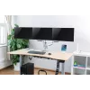 LogiLink BP0052 monitorių laikiklis / stovas 81,3 cm (32 inch) stalinis, metalinis